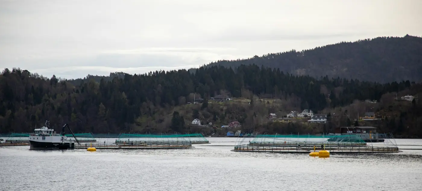 A workboat beside fish farm pens in a grey Norwegian fjord in autumn